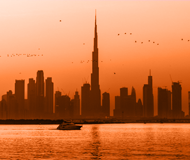 Business Opportunities in the UAE